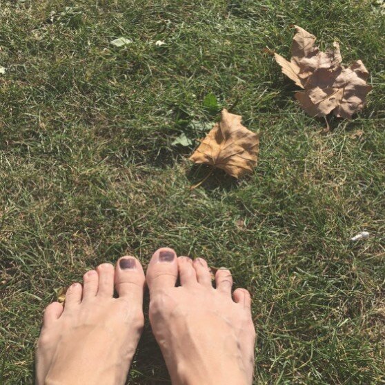 Last bright autumn days, bare feet, trees releasing their leaves &ndash; answers received. 
.
.
1. Question: what is the story of my next novel? Answer: It&rsquo;s about the luminous space between life and death, it&rsquo;s about innocence, child&rsq