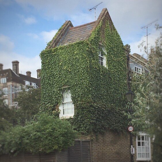 This house definitely has a magical story to tell. ✨
.
.
#london #kentishtown #englishhome #grapewine #cathouse #magichouse #wonderlust #inspiration #art#artist #writer #writerslife #daywalk #hampsteadheath #autumn /#lumous #lumousjollekuulun #mariat